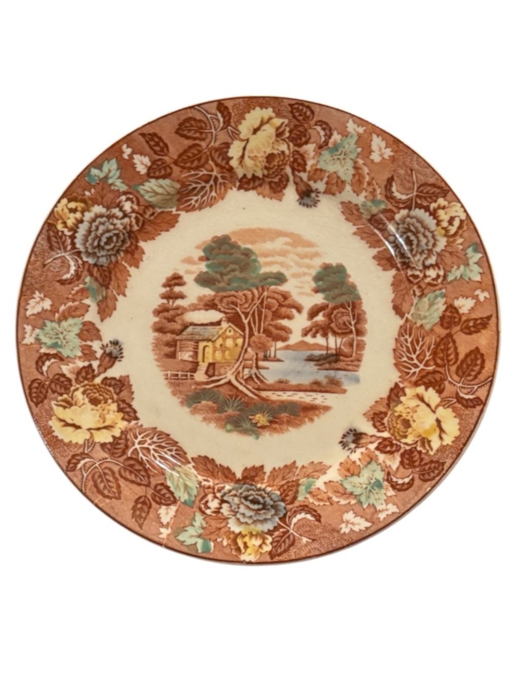 VINTAGE➕Nasco Mountain Wood-land Ironstone Dinner Plate